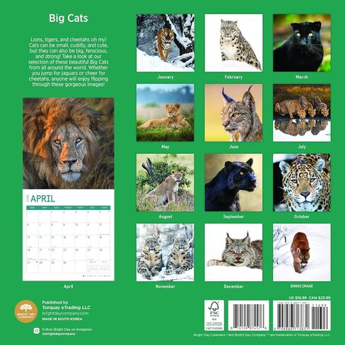 2025 Big Cats Monthly Wall Calendar by Bright Day, 12 x 12 Inch Cute Nature Photography Gift in Saudi Arabia