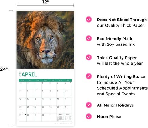 2025 Big Cats Monthly Wall Calendar by Bright Day, 12 x 12 Inch Cute Nature Photography Gift in Saudi Arabia