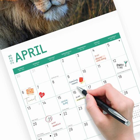 2025 Big Cats Monthly Wall Calendar by Bright Day, 12 x 12 Inch Cute Nature Photography Gift in Saudi Arabia