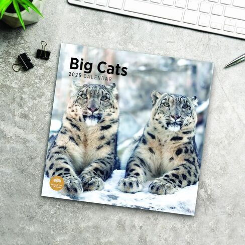 2025 Big Cats Monthly Wall Calendar by Bright Day, 12 x 12 Inch Cute Nature Photography Gift in Saudi Arabia