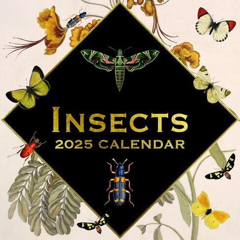 تقويم حائط مربع 2025 من The Gifted Stationary، حشرات، تقويم معلق للفنون والتحف لمدة 16 شهرًا مع 180 ملصق تذكير، مخطط شهر للمنزل، أو المساحات الإبداعية، 12 × 12 بوصة in Saudi Arabia