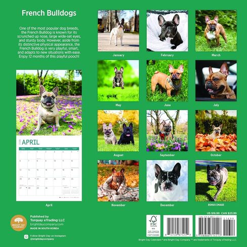 تقويم حائط شهري 2025 French Bulldogs من Bright Day، هدية لطيفة لسلالة الكلاب مقاس 12 × 12 بوصة in Saudi Arabia