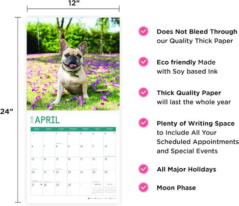 تقويم حائط شهري 2025 French Bulldogs من Bright Day، هدية لطيفة لسلالة الكلاب مقاس 12 × 12 بوصة in Saudi Arabia