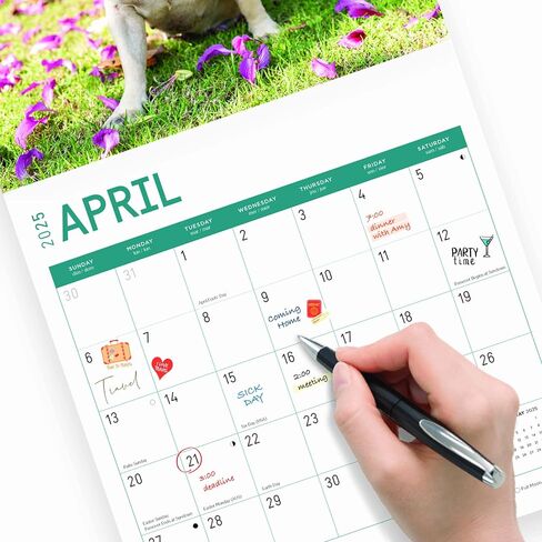 تقويم حائط شهري 2025 French Bulldogs من Bright Day، هدية لطيفة لسلالة الكلاب مقاس 12 × 12 بوصة in Saudi Arabia