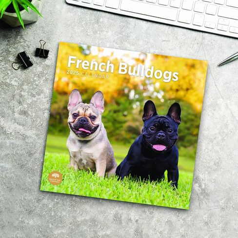 تقويم حائط شهري 2025 French Bulldogs من Bright Day، هدية لطيفة لسلالة الكلاب مقاس 12 × 12 بوصة in Saudi Arabia