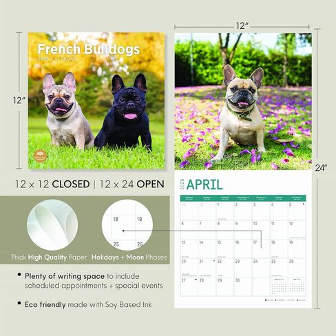 تقويم حائط شهري 2025 French Bulldogs من Bright Day، هدية لطيفة لسلالة الكلاب مقاس 12 × 12 بوصة in Saudi Arabia