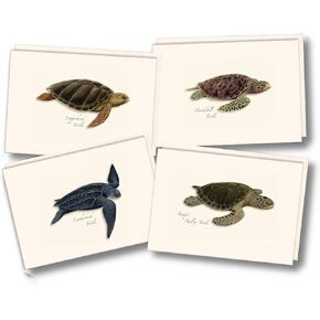 Earth Sky + Water - Sea Turtle Assortment Notecard Set - 8 Blank Cards with Envelopes (2 each of 4 styles)