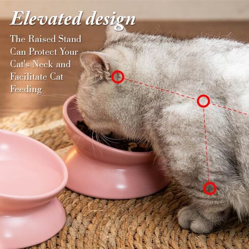 5.3 Inch Raised Cat Food Bowl Two Bowls Neck and Whisker Friendly Elevated Tilted Prevent Vomiting Ceramic Color Black in Saudi Arabia