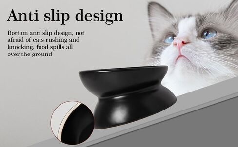 5.3 Inch Raised Cat Food Bowl Two Bowls Neck and Whisker Friendly Elevated Tilted Prevent Vomiting Ceramic Color Black in Saudi Arabia