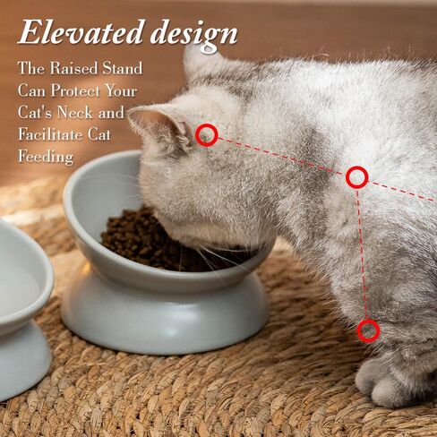 5.3 Inch Raised Cat Food Bowl Two Bowls Neck and Whisker Friendly Elevated Tilted Prevent Vomiting Ceramic Color Black in Saudi Arabia