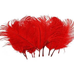 FZBNSRKO 6-8 inch 15-20cm Ostrich Feather Home Party Wedding Decoration DIY Craft,50 Pcs(White)