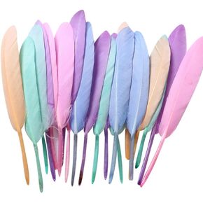200 Pcs Large Colorful Goose Feathers Colored Craft Feathers Dream Catcher Feathers Mardi Gras Feathers Floral Arrangement Feathers Party Decorations Multi