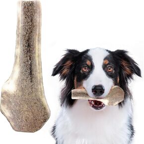 Heartland Elk Antlers for Dogs - Grade A, Naturally Shed Antlers | Dog Bones for Aggressive Chewers & Teething Puppies | All Breeds Chew Toy USA Made & Veteran Owned (Whole Elk: 4-5", Small, 2-Pack)
