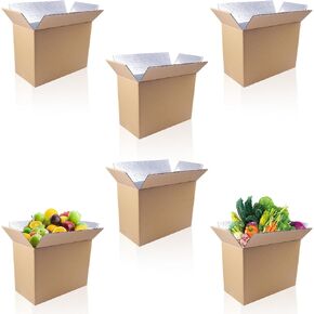 Insulated Shipping Boxes for Shipping Frozen Food-15.7" x 11.8" x 7.87" (6 Pack),Large Foil Cooler Carton Moving Kits for Mailing Packing,Reusable Cold Shipping Box with Insulation
