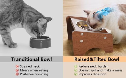 Elevated Cat Bowls,Stainless Steel Raised Cat Food and Water Bowls,15° Tilted Anti Vomiting Cat Feeding Bowls,Dishwasher Safe,Non-Slip,Suitable for Cats and Bunny (Brown) in Saudi Arabia