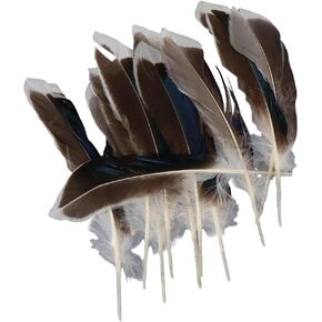 Uniquer 100Pcs Duck Feathers,Beautiful Decor Feathers for Crafts DIY,Feathers for Clothing Costumes Hair Hats Earrings Dream Catcher
