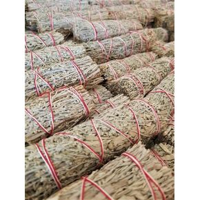 Bulk Sage Bundles Wholesale 100 Pack, Fresh Organic Smudge Sticks, White Sage Sticks for Home Cleansing, Smudging Sage Bulk, Wholesale Sage with Instructions, Charitable! (White Sage - 100 Sticks)