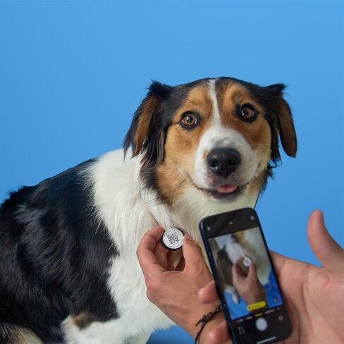 Scout Tag's Rocket Tag | QR Code Silicone Pet ID Dog/Cat Tag. Instant Profile Access and Scan Alerts, Small in Saudi Arabia