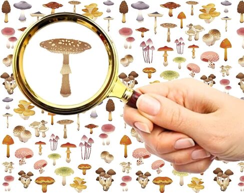Nail Stickers Decal Transfers (5 Sheets) FLONZNAIL Mushroom Watercolor Vintage Illustration in Saudi Arabia