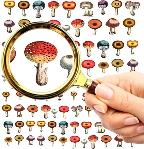 Nail Stickers Decal Transfers (5 Sheets) FLONZNAIL Mushroom Watercolor Vintage Illustration in Saudi Arabia