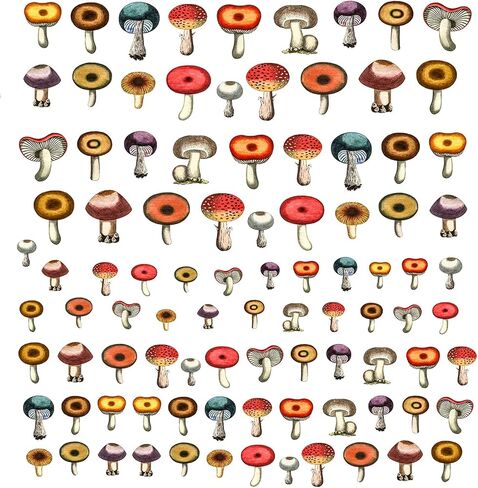 Nail Stickers Decal Transfers (5 Sheets) FLONZNAIL Mushroom Watercolor Vintage Illustration in Saudi Arabia