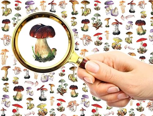 Nail Stickers Decal Transfers (5 Sheets) FLONZNAIL Mushroom Watercolor Vintage Illustration in Saudi Arabia