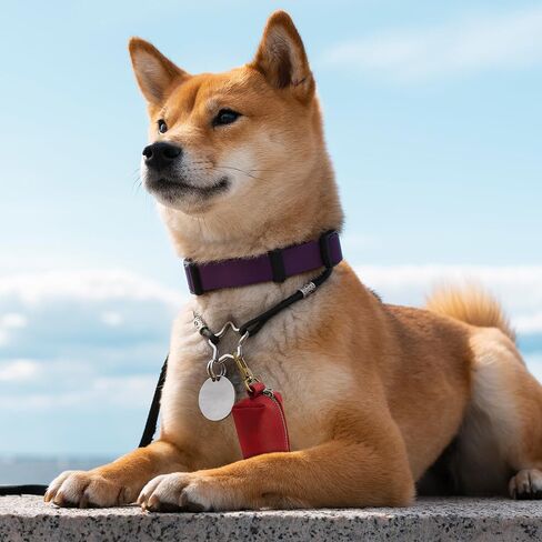 HIFA Genuine Leather Dog Leash Poop Bag Holder - Soft Touch Rustic Leather, Metal Clips, Easy Access to Pet Waste Bags - Outdoor Walking Dispenser in Kuwait