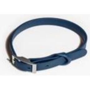 Pawsome Collar (Cyan, Medium)