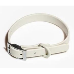 Pawsome Collar (Cyan, Medium) in Saudi Arabia