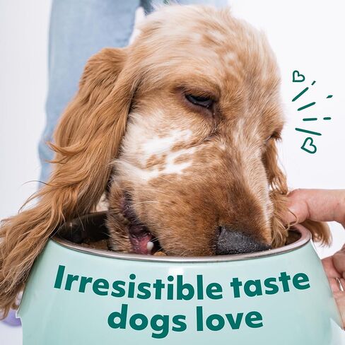 Optimeal Grain-Free Dog Food - Proudly Ukrainian - Balanced Dog Food Dry Recipe with Immunity Support, Non-Grain Dry Dog Food for All Dog Breeds (3.3 lbs, Chicken & Veggies) in Kuwait