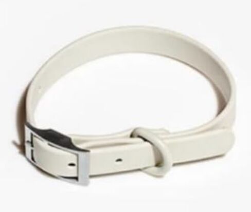 Pawsome Collar (Cyan, Medium) in Saudi Arabia