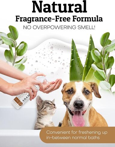 Pets Waterless No-Rinse Pet Shampoo | Soothing Hypoallergenic Gentle | time-Saving Stress-Free foaming Cleanser (3 8 fl oz Bottles Unscented) in Saudi Arabia