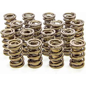 Isky Racing Cams (9999-RAD) 1.600" O.D. Valve Spring