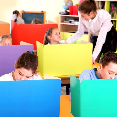 School Privacy Boards for Student Desks Students Classroom Privacy Folders Study Carrel Reduces Distractions Privacy Boards for Student Desks Test and Desk Dividers, 19 x 12 Inch (12 Pack) in Saudi Arabia