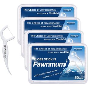 200 Count Dental Floss Picks - Thorough Teeth Cleaning, Strong and Tough Floss (50 Count * 4 Boxes)