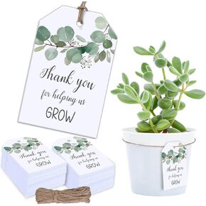100Pcs Thank You for Helping Us Grow Tags Succulent Favor Tags with Hemp Rope Teacher Appreciation Gift Tag Greenery Baby Shower Hanging Paper Label for Graduation Birthday Party Supplies