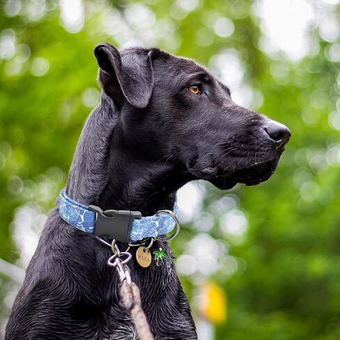 Cute Cotton Dog Collar Flower Patterns, Soft Adjustable Puppy Collars for for Girl Female Small Medium Large Dogs with Flower Charms in Kuwait