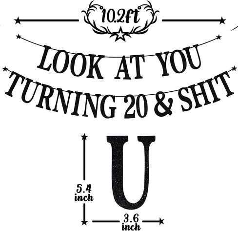 Black Glitter Look at You Turning 20 & Shit Banner, Happy 20th Birthday/Level 20 Unlocked/Cheers to 20 Years, Funny 20th Birthday Party Decorations Supplies in Saudi Arabia