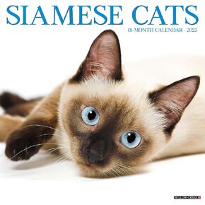 Willow Creek Press Siamese Cats Monthly 2025 Wall Calendar (12" x 12")