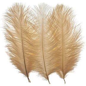 LONDGEN 50pcs 8-10inches Ostrich Feathers Craft for Wedding Party centerpieces Home Decoration(red)