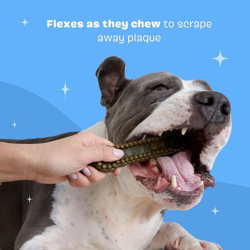 Bark Bright Durable Dental Chew Sticks for Dogs (15 Chews) Made for Tough Chewers - Small Breeds in Kuwait