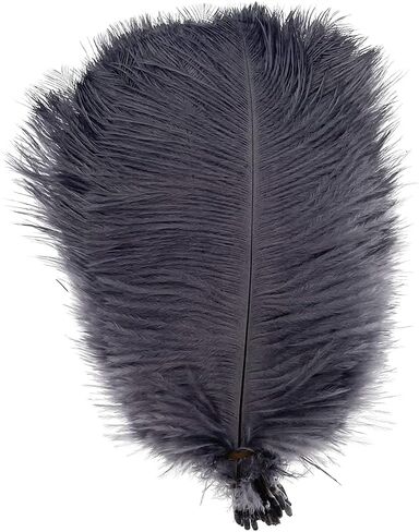 LONDGEN 50pcs 8-10inches Ostrich Feathers Craft for Wedding Party centerpieces Home Decoration(red) in Kuwait