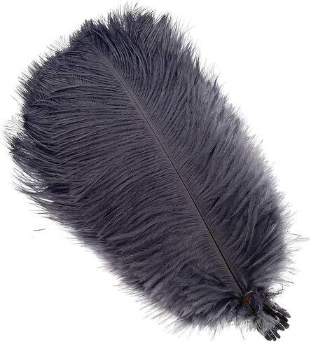 LONDGEN 50pcs 8-10inches Ostrich Feathers Craft for Wedding Party centerpieces Home Decoration(red) in Kuwait