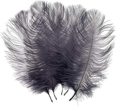 LONDGEN 50pcs 8-10inches Ostrich Feathers Craft for Wedding Party centerpieces Home Decoration(red) in Kuwait