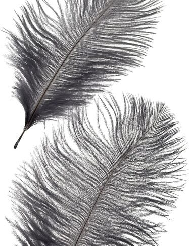 LONDGEN 50pcs 8-10inches Ostrich Feathers Craft for Wedding Party centerpieces Home Decoration(red) in Kuwait