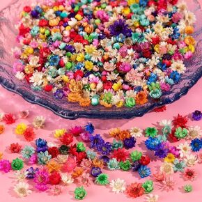 200 PCS Small Dried Flowers for Crafts - Mini Dried Flowers for Resin, Tiny Natural Real Dried Pressed Flowers Bulk for DIY Jewelry Earrings Epoxy Molds, Candles Soap Making