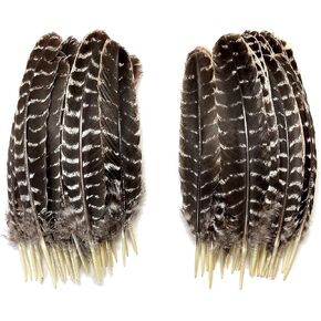 American Feathers Bulk Barred Turkey Rounds - per 1/4 lb (About 100 Feathers)