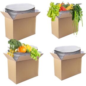 4PCS Double Insulated Shipping Boxes with Aluminum Foil Liner, Cold Pack Shipping Boxes Insulated Shipping Boxes for Frozen Food Hot Food for Shipping Packaging Mailing 10x5.5x6.7inch & 8x4.3x5.6inch