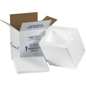 Aviditi Insulated Carton with Foam Shipping Kit, 8" x 6" x 9", White, For Shipping Temperature Sensitive Items (8 Kits)