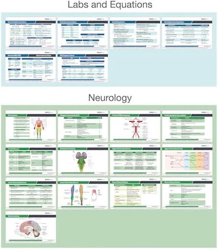 76 Medical Reference Card Set - Medical Scrubnotes by Medical Basics - ID Badge Cards for med Students, Residents, NP, and PA in Saudi Arabia